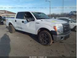 FORD F-150 1FTFW1EF3EKG22776