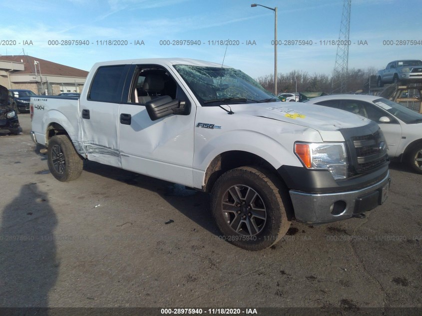 FORD F-150 1FTFW1EF3EKG22776