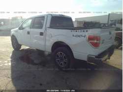 FORD F-150 1FTFW1EF3EKG22776