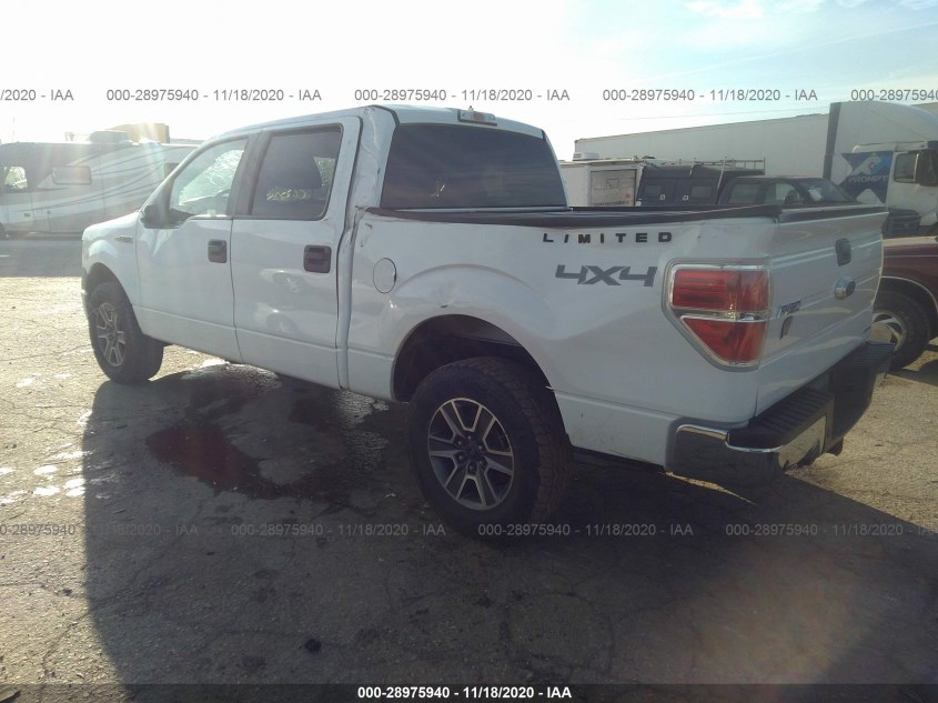 FORD F-150 1FTFW1EF3EKG22776