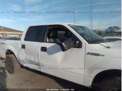 FORD F-150 1FTFW1EF3EKG22776