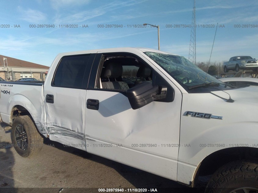 FORD F-150 1FTFW1EF3EKG22776