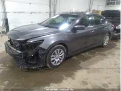 NISSAN ALTIMA 1N4AL3AP1GN341709
