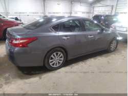 NISSAN ALTIMA 1N4AL3AP1GN341709