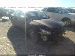 NISSAN MAXIMA 1N4AA5AP6BC866464