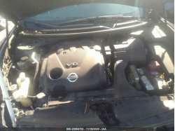 NISSAN MAXIMA 1N4AA5AP6BC866464