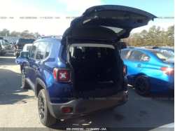 JEEP RENEGADE ZACNJBBB5LPL90067