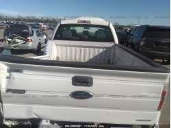 FORD F-150 1FTEX1CM6DFD45543