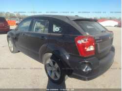 DODGE CALIBER 1B3CB3HAXBD168599