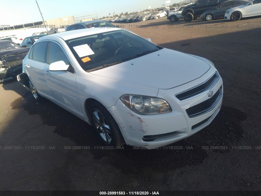 CHEVROLET MALIBU 1G1ZC5E09AF198184
