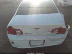 CHEVROLET MALIBU 1G1ZC5E09AF198184