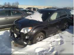 CHEVROLET EQUINOX 2GNALBEK8F6331966