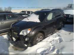 CHEVROLET EQUINOX 2GNALBEK8F6331966