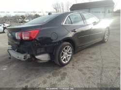 CHEVROLET MALIBU 1G11C5SA2DF168443