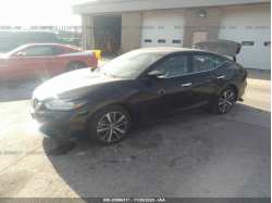 NISSAN MAXIMA 1N4AA6CV6LC368350