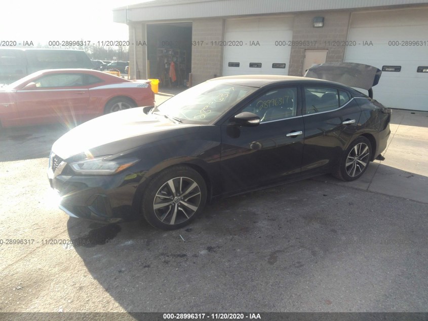 NISSAN MAXIMA 1N4AA6CV6LC368350