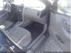 TOYOTA COROLLA 2T1BU4EE4CC899755
