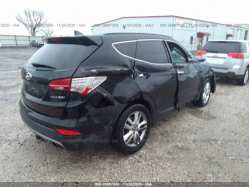 HYUNDAI SANTA FE SPORT 5XYZW3LA8EG130024