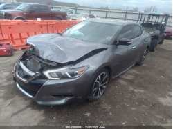 NISSAN MAXIMA 1N4AA6APXJC367249