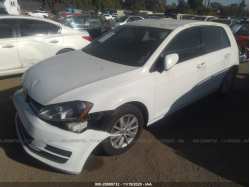 VOLKSWAGEN GOLF 3VW217AU3GM008033