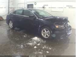 CHEVROLET MALIBU 1G1ZB5ST3JF175954
