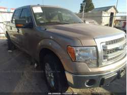 FORD F-150 1FTFW1EF0DKF90741