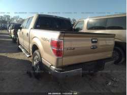 FORD F-150 1FTFW1EF0DKF90741