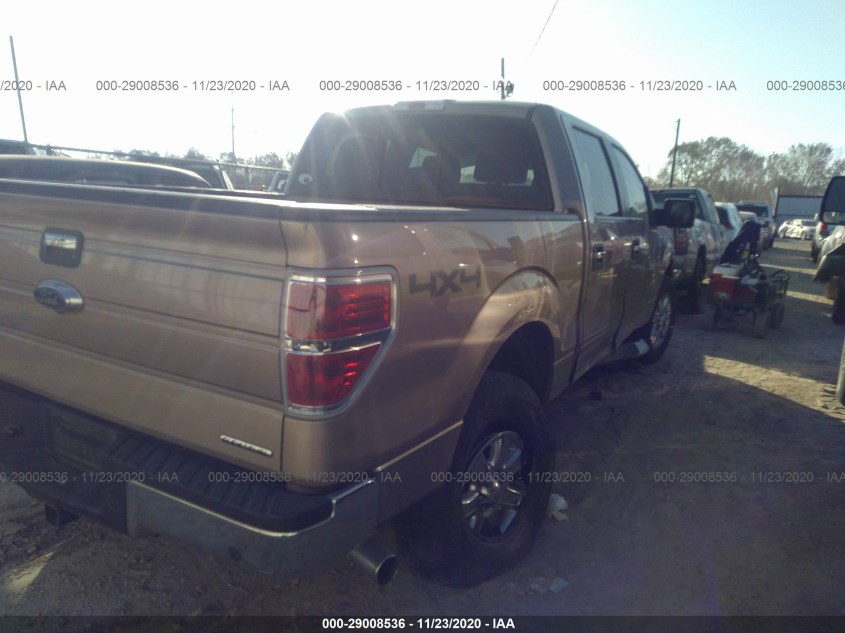 FORD F-150 1FTFW1EF0DKF90741