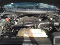 FORD F-150 1FTFW1EG1JFC67179