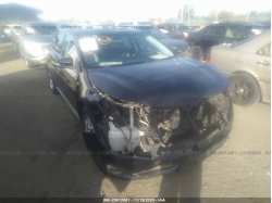 TOYOTA AVALON 4T1BK1EB2DU021834