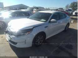KIA OPTIMA 5XXGT4L33GG028791