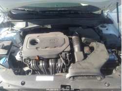 KIA OPTIMA 5XXGT4L33GG028791