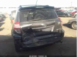 TOYOTA RAV4 JTMRK4DV1A5097860