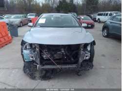 TOYOTA CAMRY 4T1G11AK0LU361674