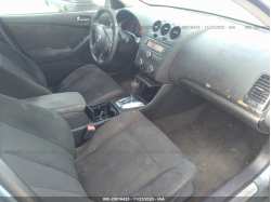 NISSAN ALTIMA 1N4AL2AP3BC117341