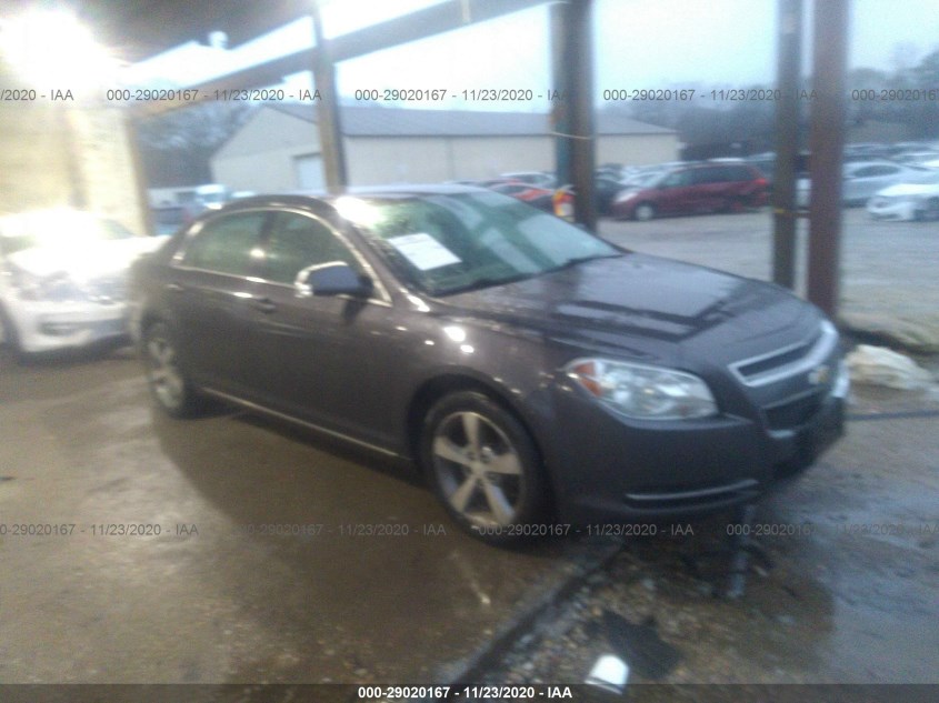 CHEVROLET MALIBU 1G1ZC5E17BF165369