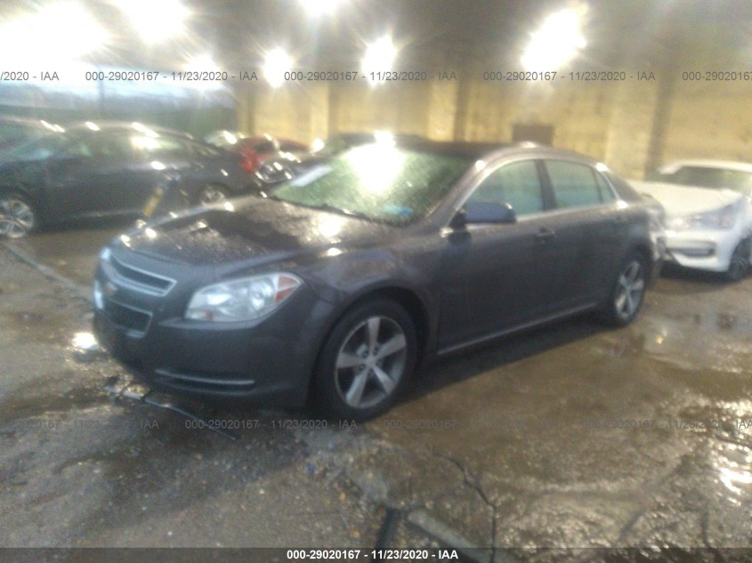 CHEVROLET MALIBU 1G1ZC5E17BF165369