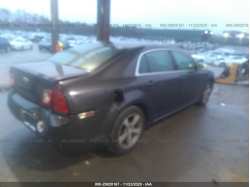 CHEVROLET MALIBU 1G1ZC5E17BF165369