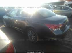 HONDA ACCORD SDN 1HGCP2F88BA062164