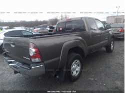 TOYOTA TACOMA 5TEUU4EN7AZ733682