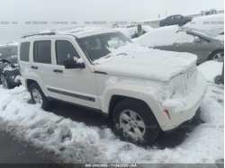 JEEP LIBERTY 1J4PP2GK2AW154022