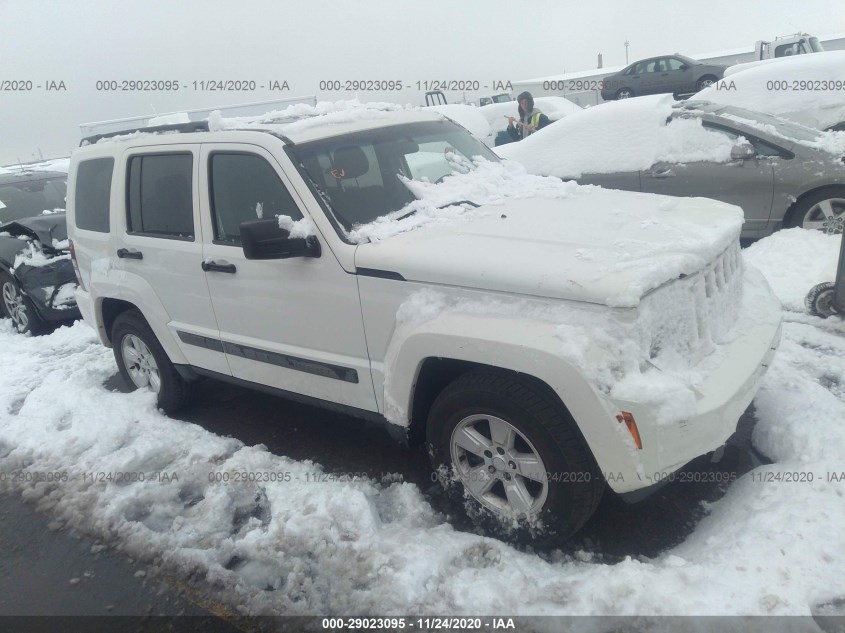 JEEP LIBERTY 1J4PP2GK2AW154022