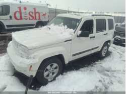 JEEP LIBERTY 1J4PP2GK2AW154022