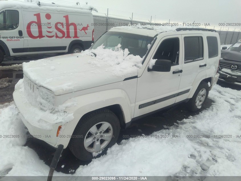 JEEP LIBERTY 1J4PP2GK2AW154022