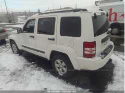 JEEP LIBERTY 1J4PP2GK2AW154022