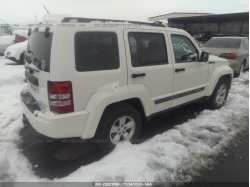 JEEP LIBERTY 1J4PP2GK2AW154022