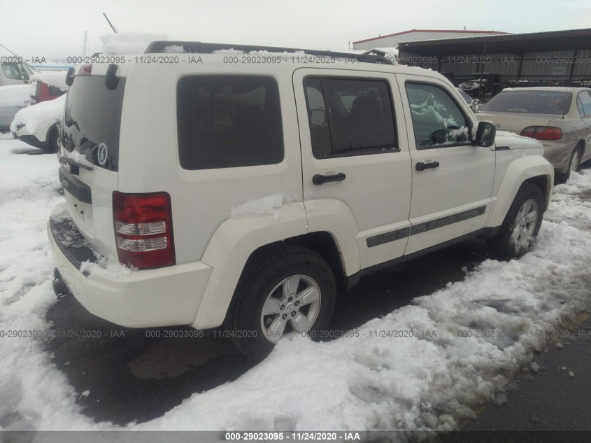 JEEP LIBERTY 1J4PP2GK2AW154022