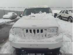 JEEP LIBERTY 1J4PP2GK2AW154022