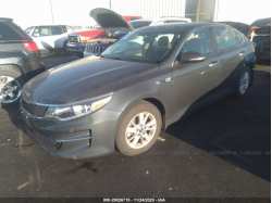 KIA OPTIMA KNAGT4L37G5070348