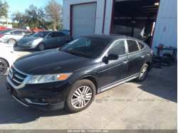 HONDA CROSSTOUR 5J6TF3H35FL000007